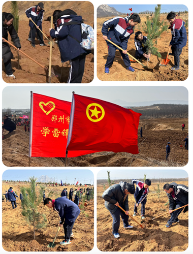 03齊心協(xié)力，共“植”春天